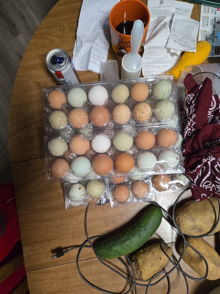 Farm Fresh Eggs