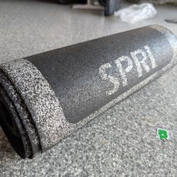 SPRI Roll Out Ladder