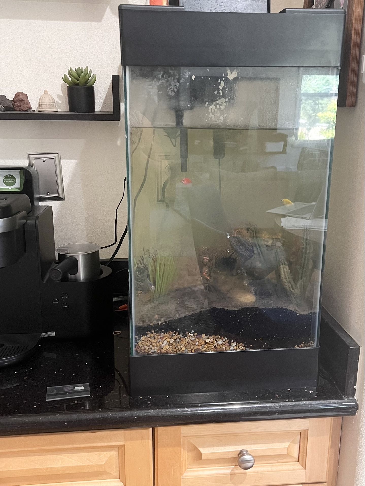 Aqueon Tower/Column Fish Tank