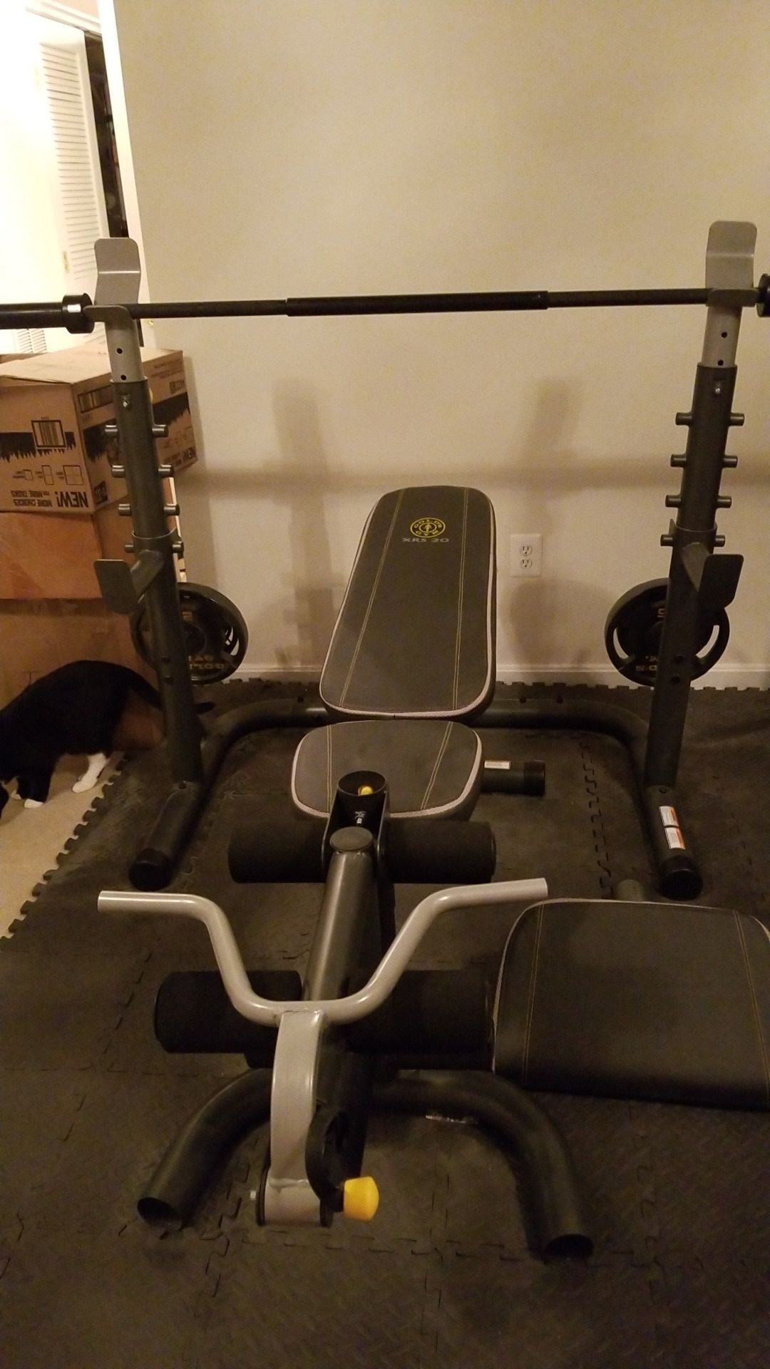 Gold's Gym Weight Bench Plus Bar and Weights (100 pounds)