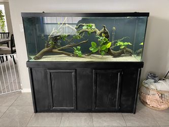 125 Gallon Fish Tank and Stand (Read Description) Thumbnail