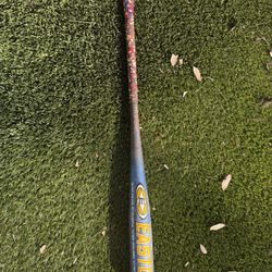 Baseball Bat