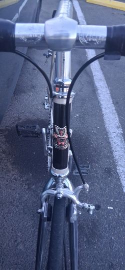 Shogun 600
