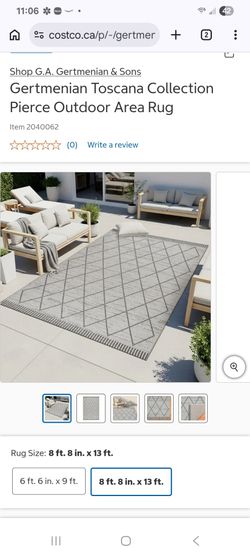 Outdoor/ Indoor rug