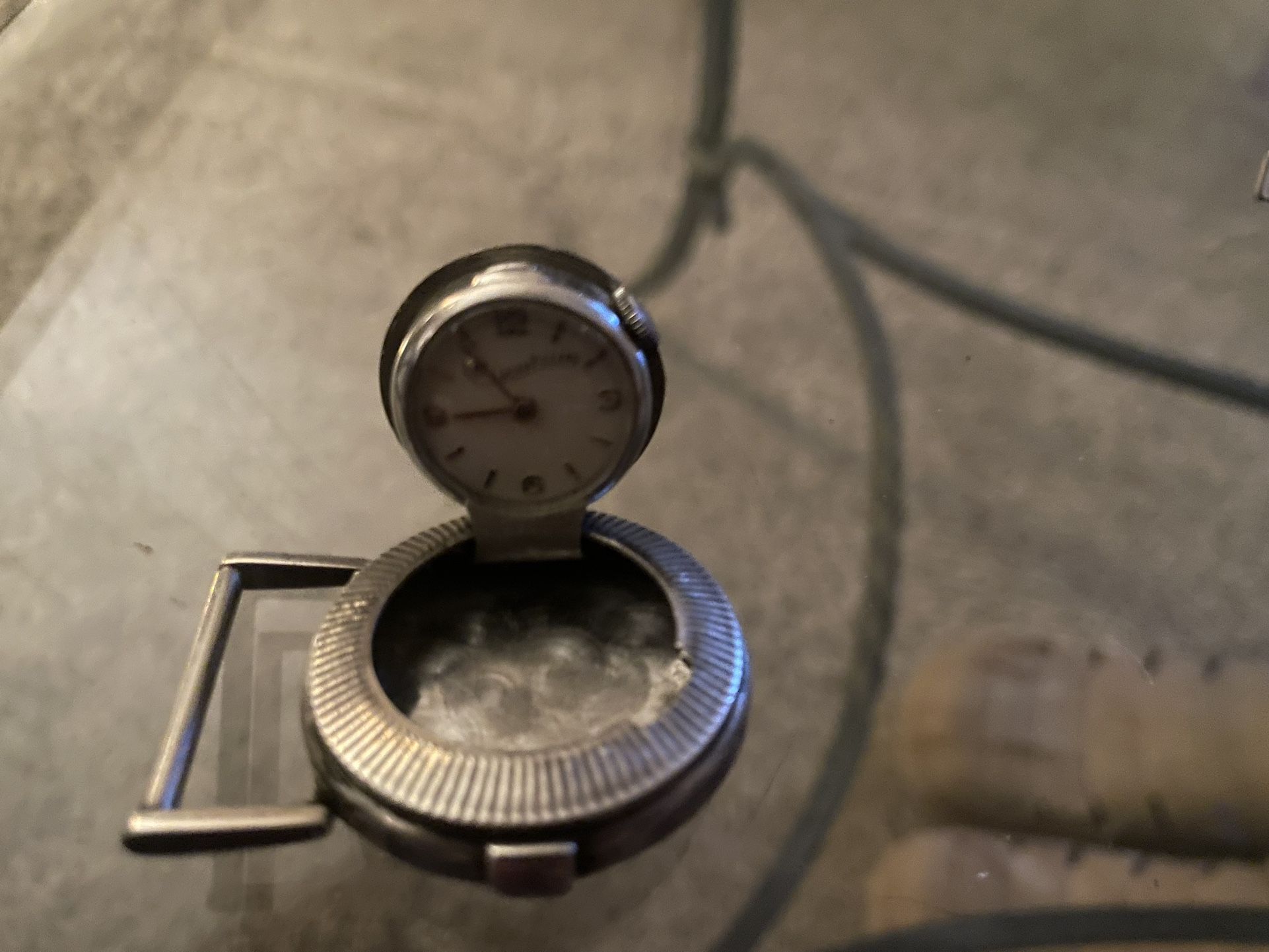 Piccard Sterling Watch