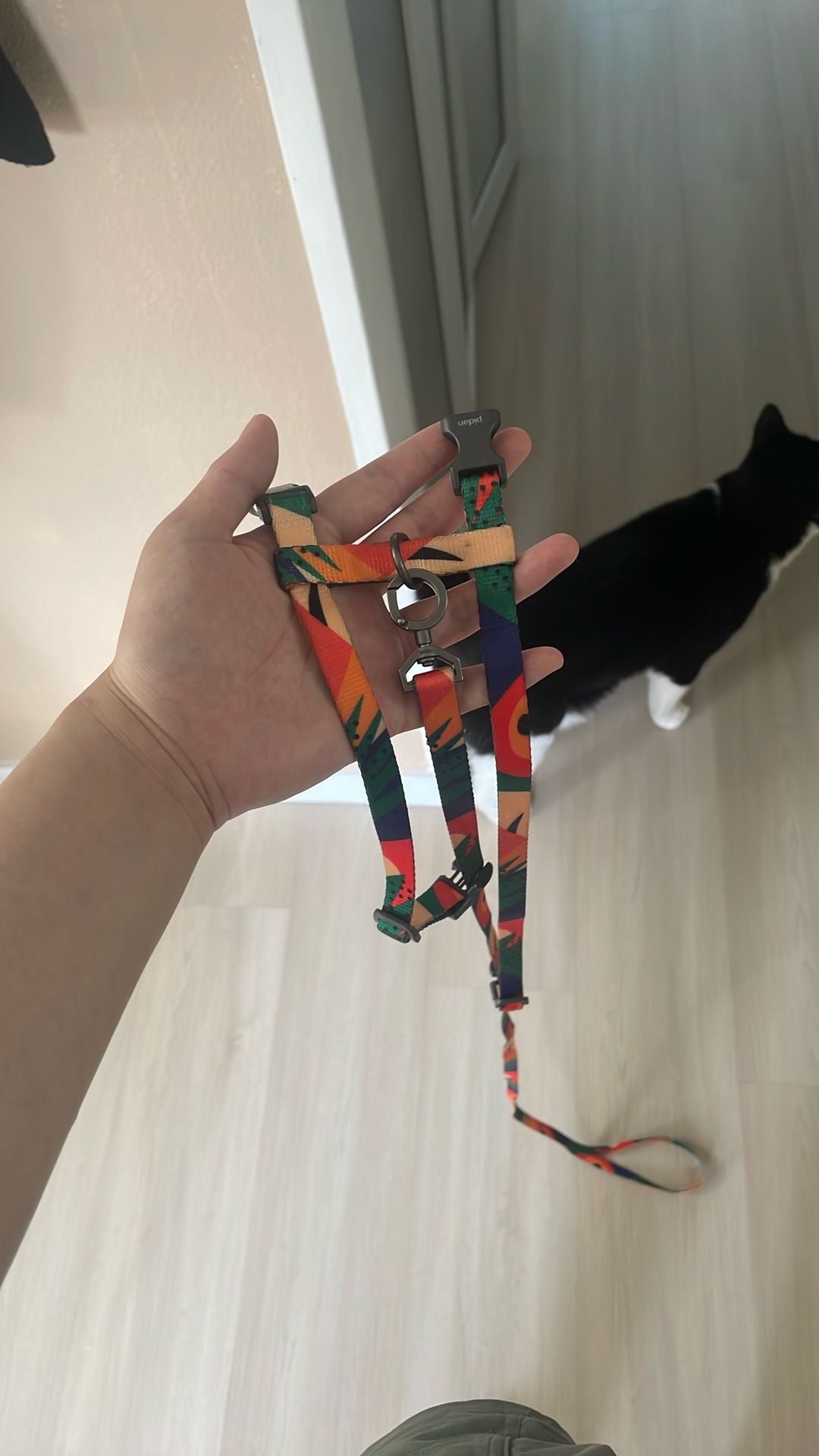 Cat Leash Colorful Dog Leash Fixed Length