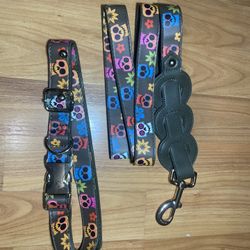 Disney Coco dog leash and collar set 