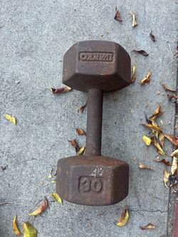30 pound dumbbell