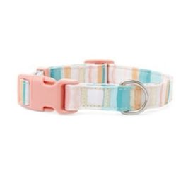 YOULY The Artist Striped Watercolor Dog Collar, Small