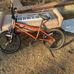 HARO  Downtown Bmx Bike 