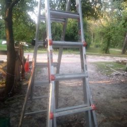 Little Giant Ladder 