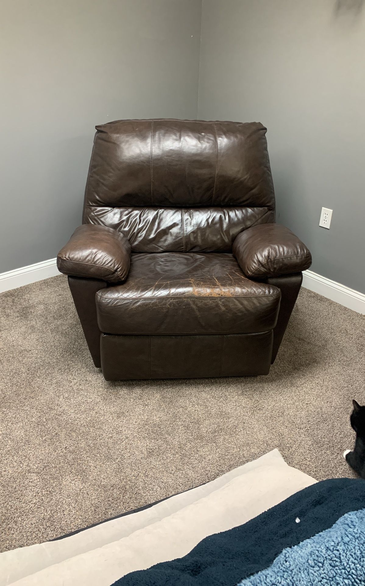Recliner, Brown Leather