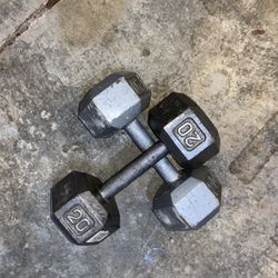 20 Pound Dumbbells 