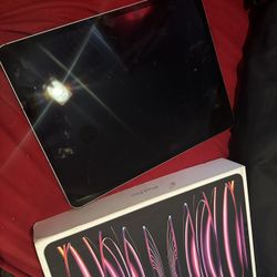 iPad Pro 12.9 In (Wi-Fi & Cellular)
