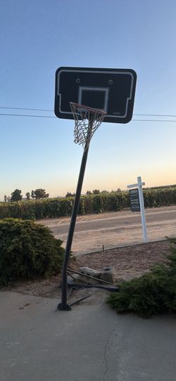 Free bent basket ball court