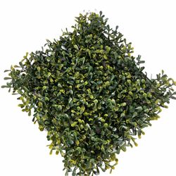 Wholesale Ivy / Contractor Pricing For All