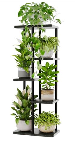 Plant Stand Indoor