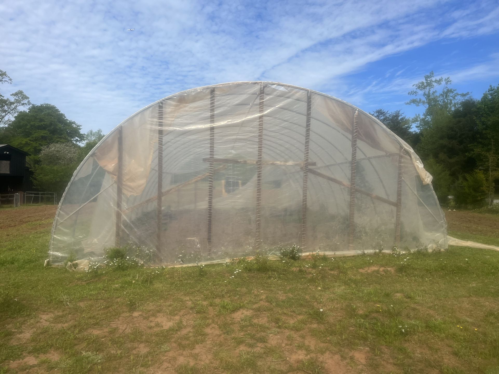 Greenhouse