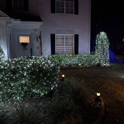  Outdoor Christmas Bush Lights
