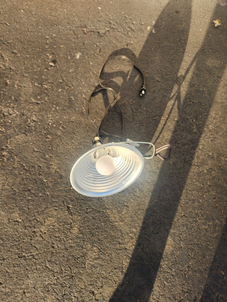 Light