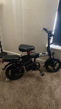 E bike