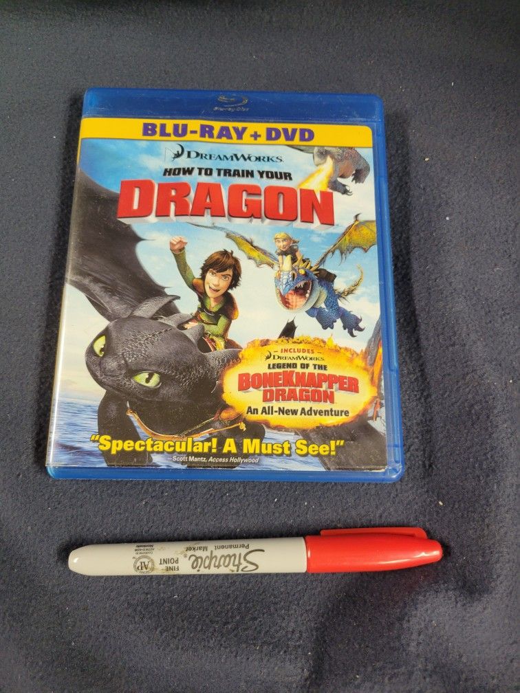 How To Train Your Dragon Blu-Ray + DVD