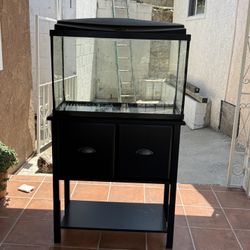 30 gallon Aquarium 