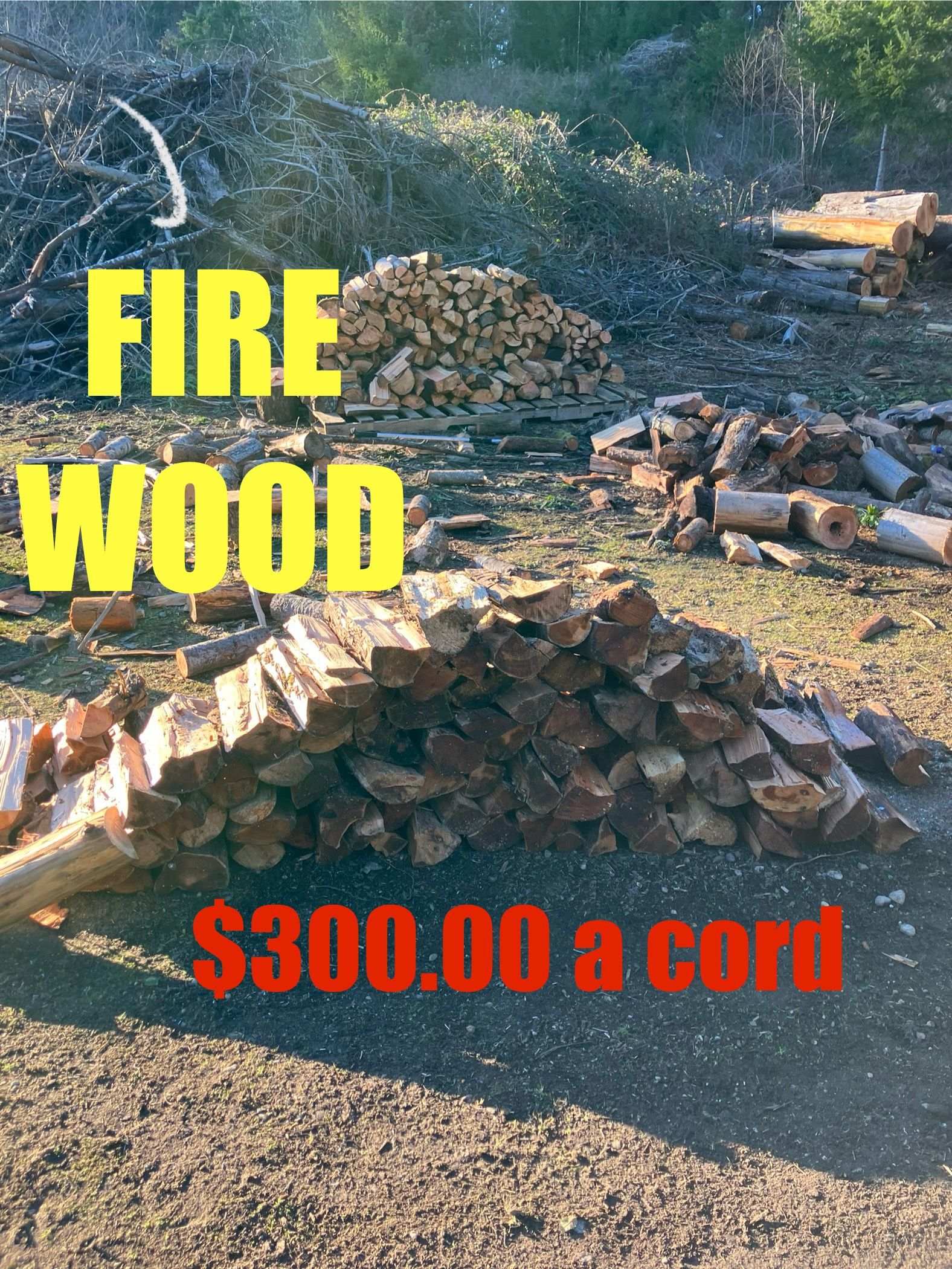 Firewood