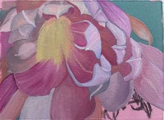 Commission Oil Paintings