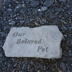 Stone Cement