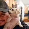 Tito
