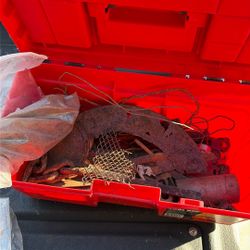 ToolBox Of Rusty Items For Fabric Dyeing