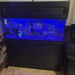 75 Gallon Aquarium