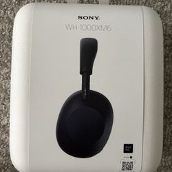 Sony WH-1000XM6