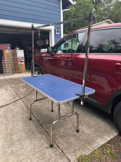 Dog grooming table- barely used