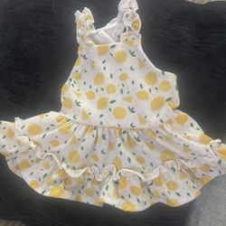 Lemon Dog Dress