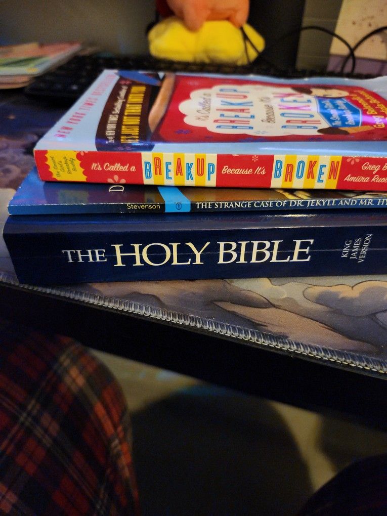 3 Book Bundle - Bible, Novel, & Self-Help!