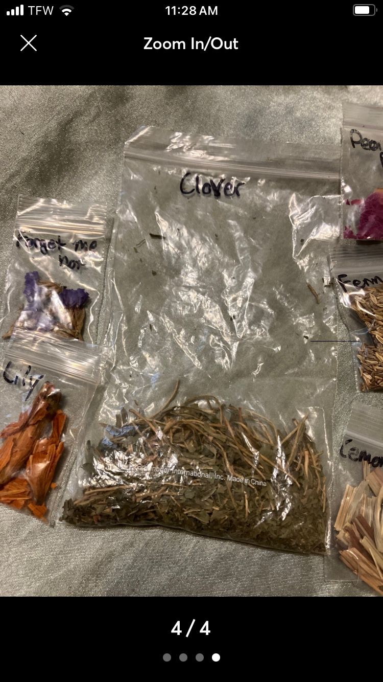 Variety of dried herbs 