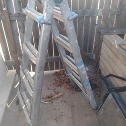 Foldable And Expandable Ladder
