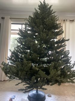 Christmas Tree Martha Steward 7.5