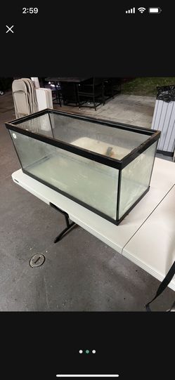 Reptile/ Fish Tank 