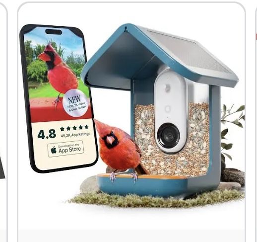 Birdbuddy PRO - Smart Solar Bird Feeder with Camera, AI Bird Species Identification, 5MP Photos, 2K HD Video Live Streaming Camera, Slow Motion Video,