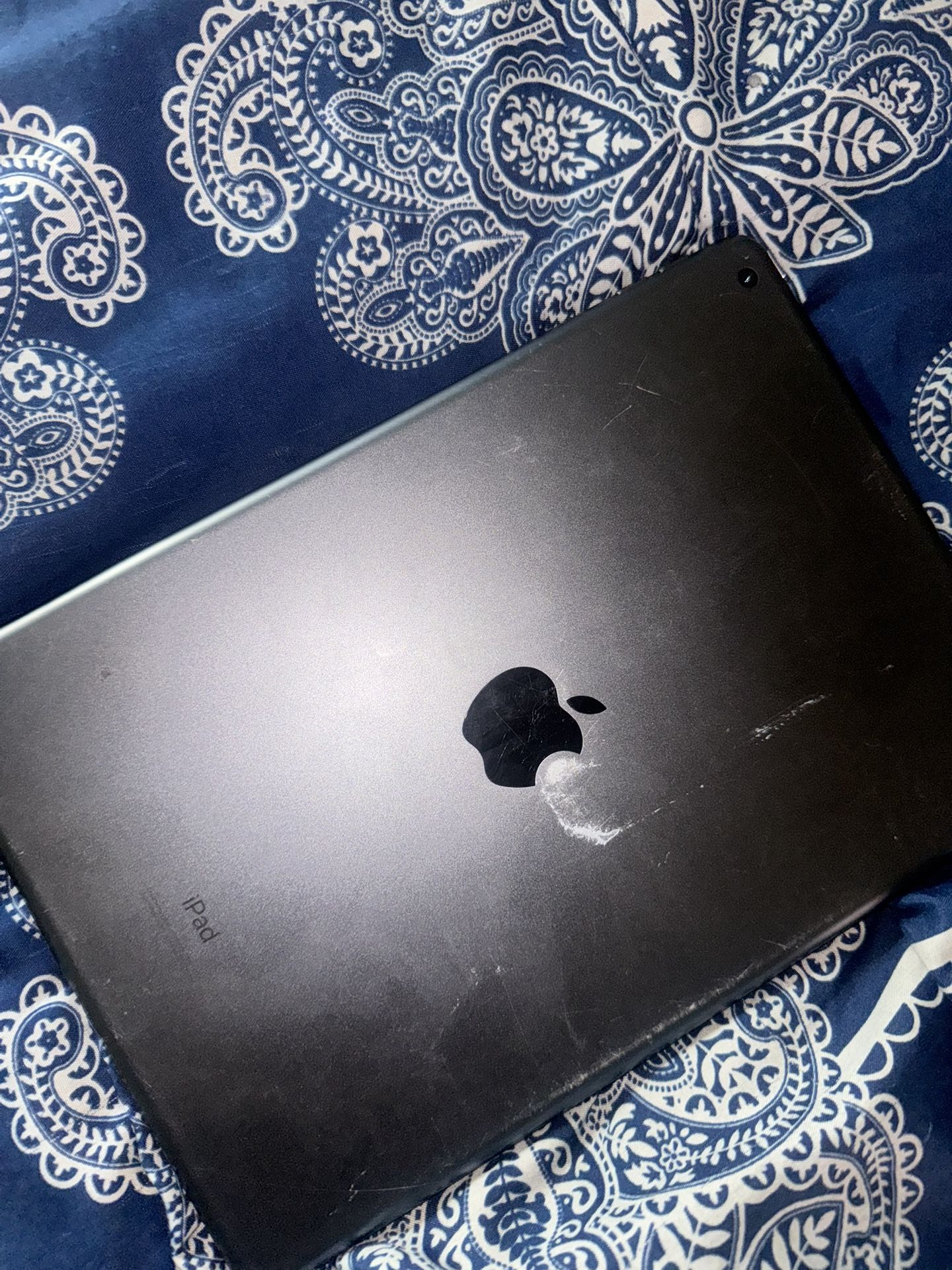 iPad 