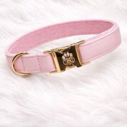Luxury Custom Dog Collar + Engraved Tag (QR Code) – Same Day Delivery 661