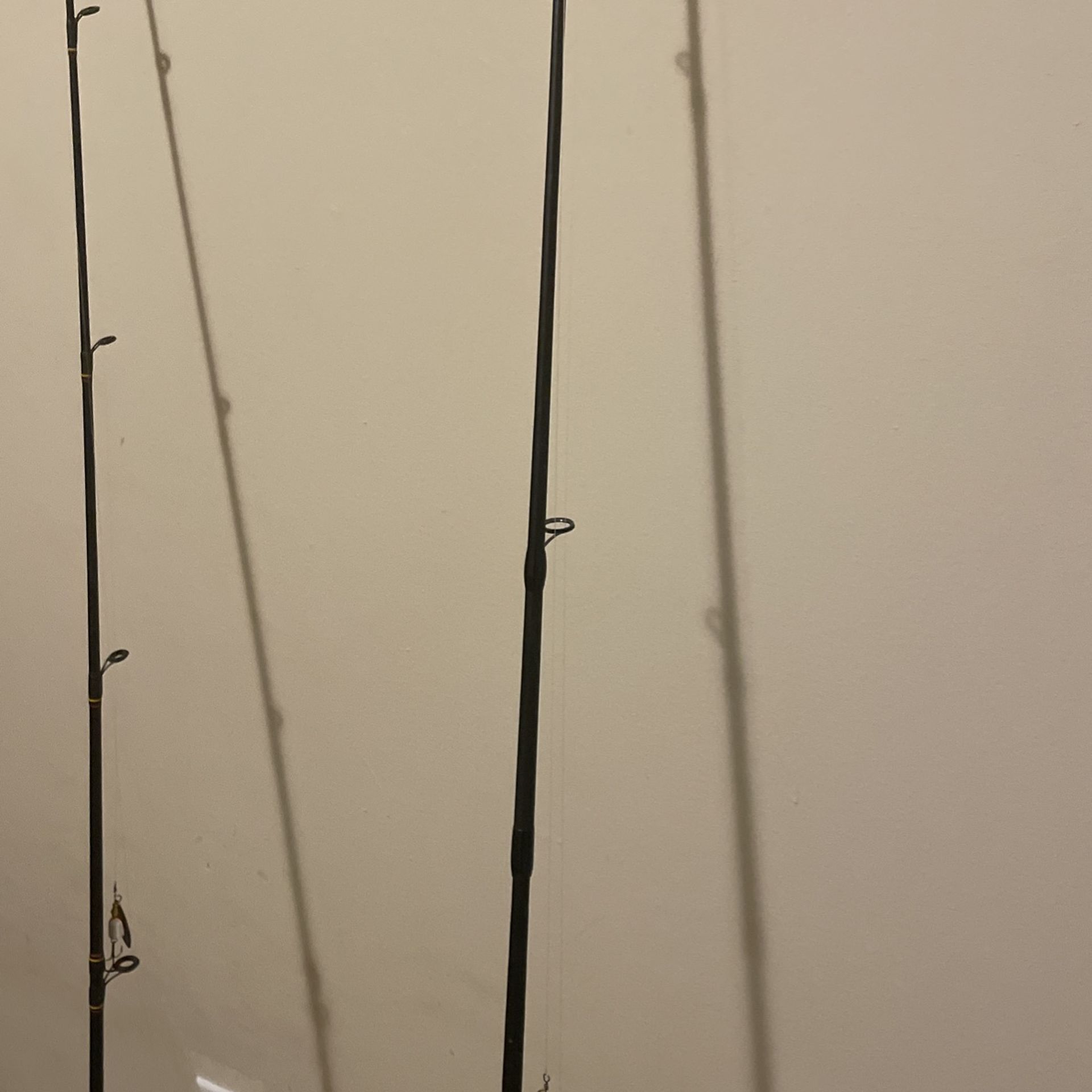 Fishing Poles