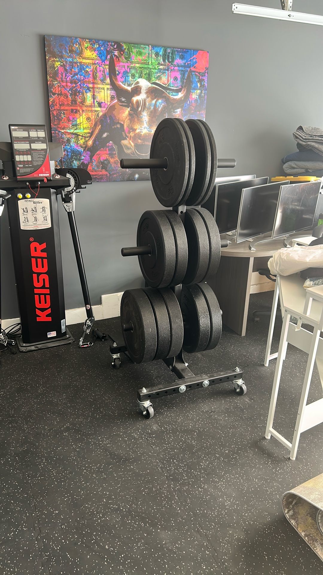 Weight Rack With Weights
