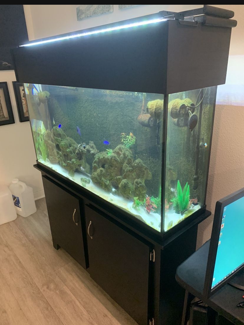 70 Gallon Salt Water Fish Tank With Everything Included!