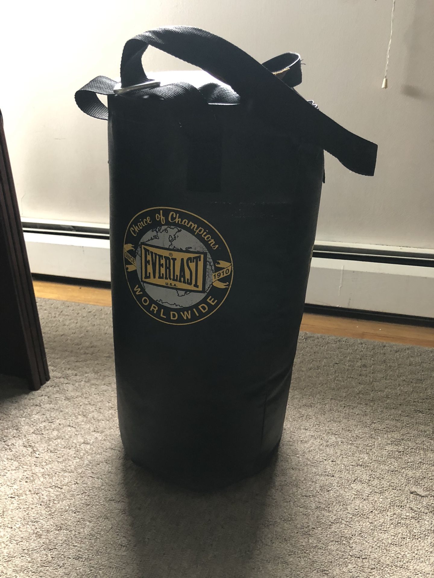 Everlast Punching bag