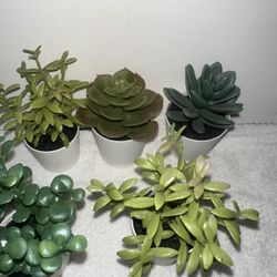 6pc Mini Artificial Succulent Plant, Home Decoration or Desk Plant, Include Pots