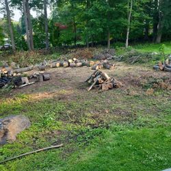 Firewood